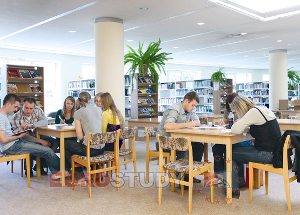 Академия Финансов и бизнеса Вистула - Akademia Finansów i Biznesu Vistula