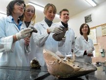 Люблинский медицинский университет